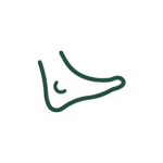 circulation